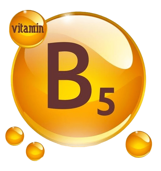 ویتامین ب۵